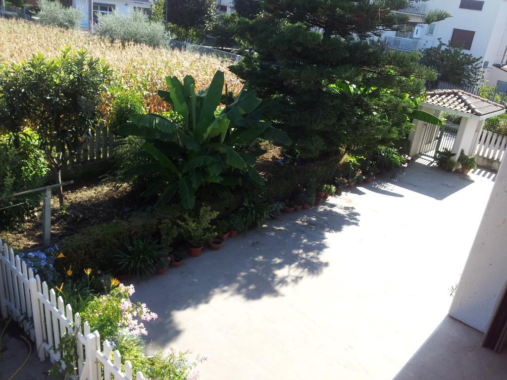 B&B La Casa Di Angelica โรเซโต เดญา อาบรูซซี ภายนอก รูปภาพ
